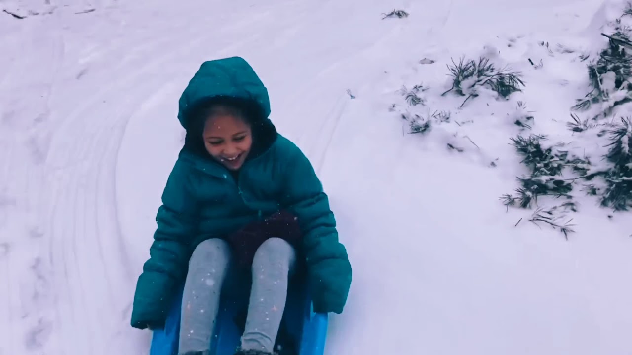 First sled experience😍 YouTube