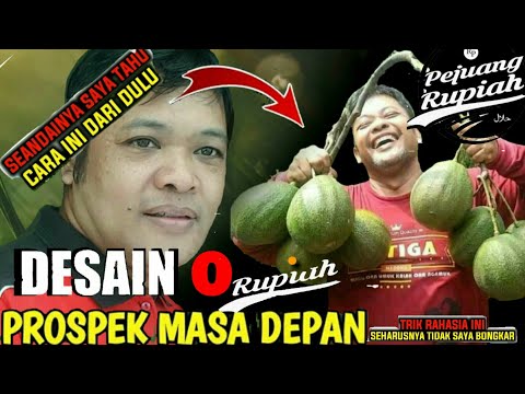 BONGKAR RAHASIA  SUKSES BUDIDAYA  ALPUKAT DAN TIDAK DI  SADARI BANYAK ORANG/AVOCADO PLANT /AVOCADO