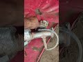 DPF/SCR SERVICE #mahindral #rajeshgurjartamannamahendramotorgaragerajasthanajmer #follow