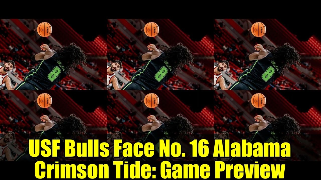 USF Bulls Face No  16 Alabama Crimson Tide   Game Preview