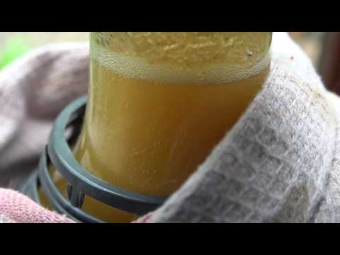 Vidéo: Cidre De Pomme Naturel Fait Maison