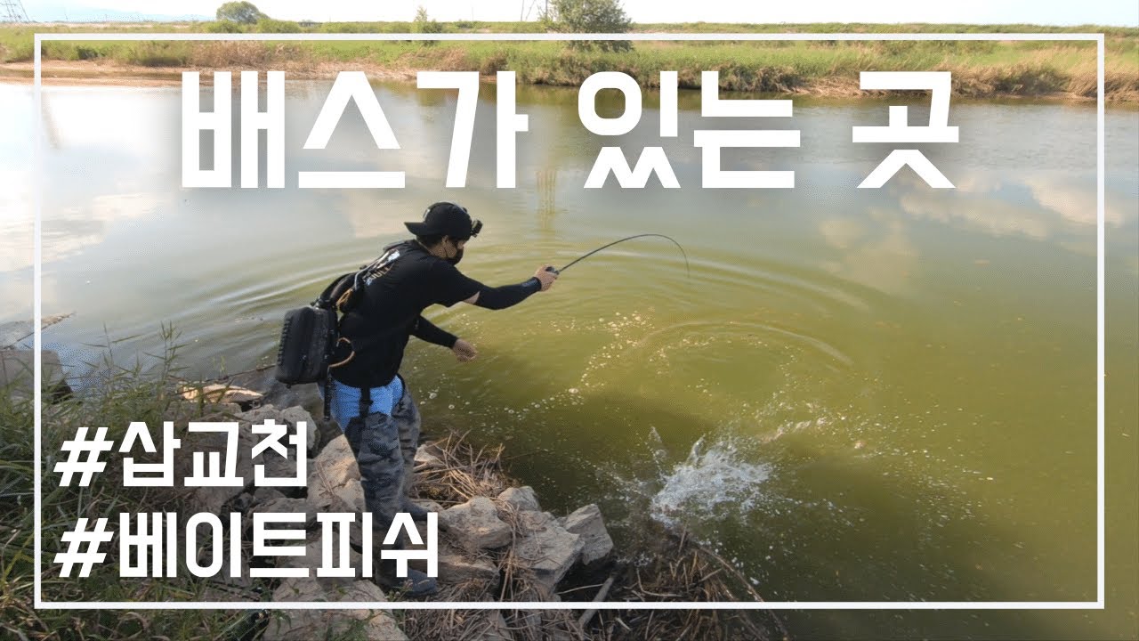 가을 배스가 있는 곳 [삽교천] - 배스파인더ep23