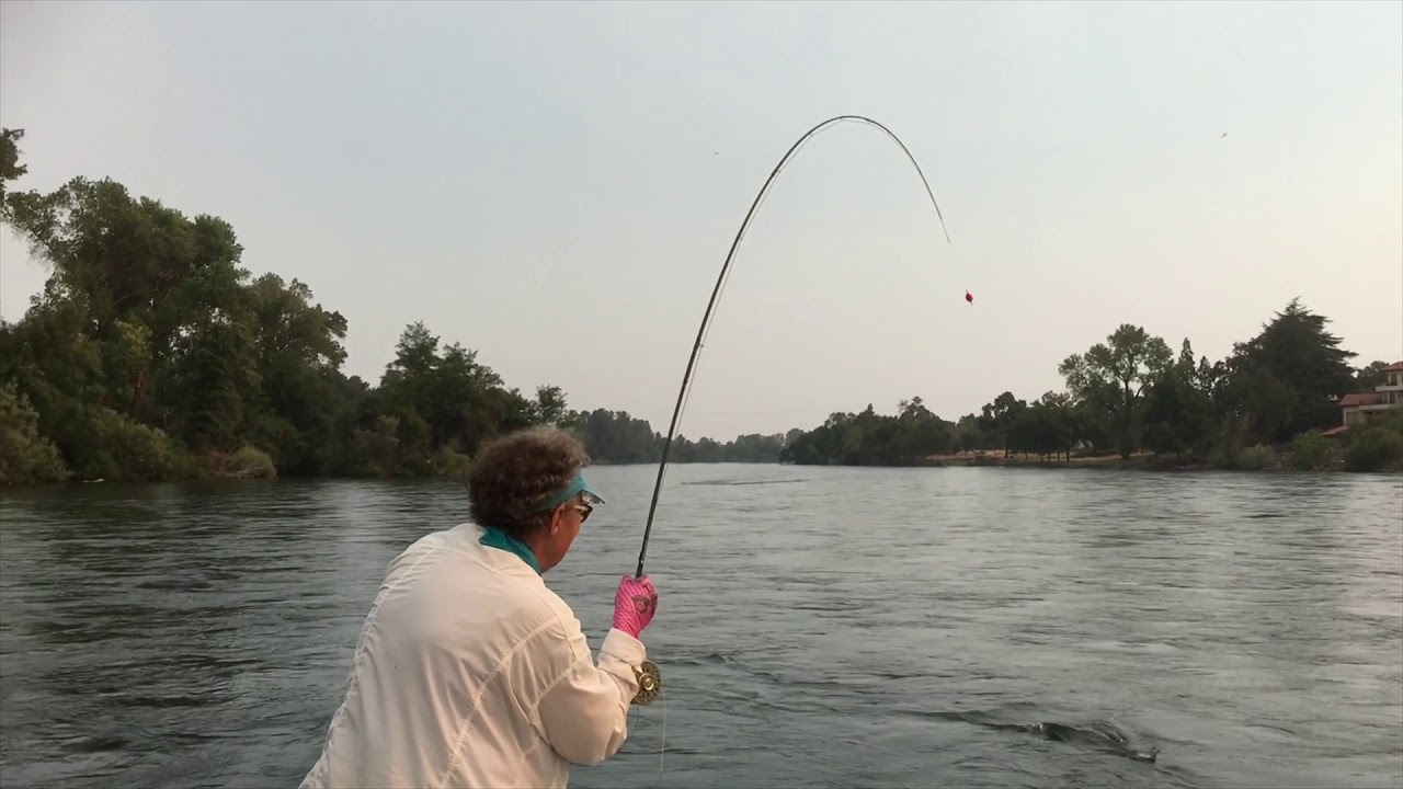 Her Waters Fly Fishing: Lower Sac Trout