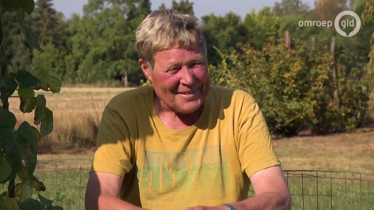 Zomer in Gelderland 21 augustus 2020 - Epse