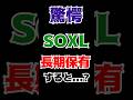 【驚愕】SOXLを長期保有するとどうなる？3倍レバレッジETFの怖さ。#米国株 #fire #nasdaq100 #soxl #shorts
