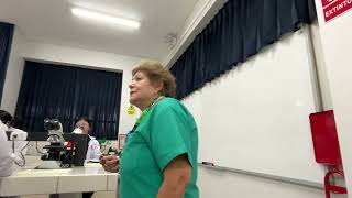 IMG 3131