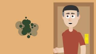 Class Act Inspections | Mold Inspections