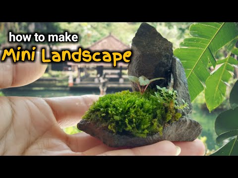 Video: Cara Membuat Landskap Miniatur