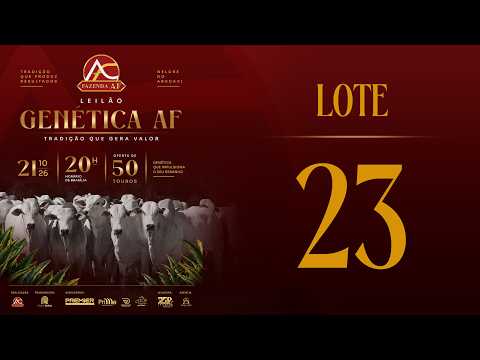 LOTE 23 ARFS  225