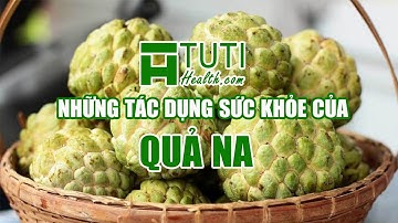 12+ NHỮNG TÁC DỤNG CỦA QUẢ NA VỚI SỨC KHỎE | ĂN QUẢ NA CÓ TỐT KHÔNG ?