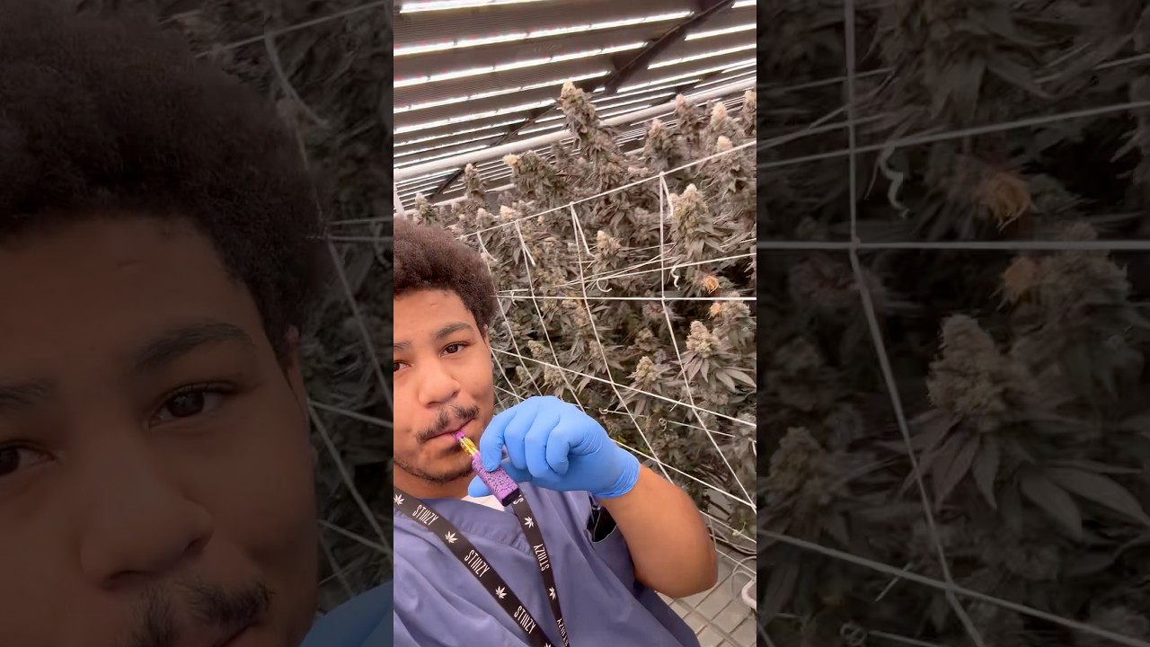 How to blink a moon rock cart at work