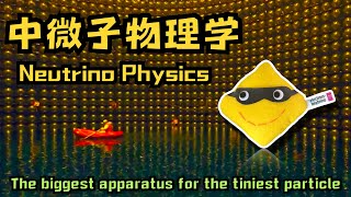 Neutrino Physics  The Biggest Apparatus For The Tiniest Particle