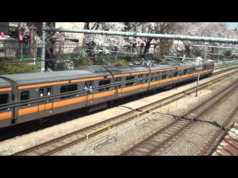 桜×中央快速線E233系(10両固定) 中野～東中野