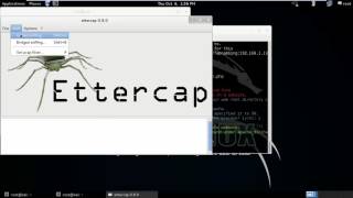 HTTPS MiTM Attack