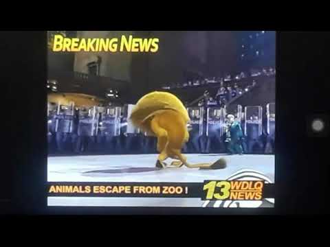 Madagascar 2: Escape to Africa - The Breaking News Scene