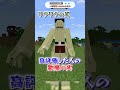 ○○した人の悪魔の実！ワンピース！【マインクラフト｜まいくら ゴロゴロの実】#shorts