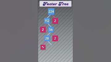 Factor Tree of 224 #publicmaths  #maths #factortree