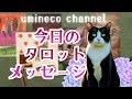 【5月20日】まずは一歩うごく日 限界を認める勇気 言葉の力を理解して活用する🌟しあわせになる力を引きだすタロットセラピー