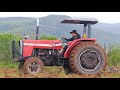 Trator MF290 grandeando a terra no alto da serra no sítio balanço de cacimba de dentro pb
