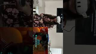VR Shooting Game live! Real-Time Girl Gamer Action | VR Ashwa