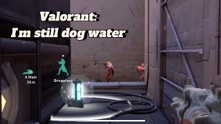 VAlORANT - IM STILL DOG WATER