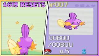 Shiny Mudkip✨ after 4,619 Soft Resets | Pokémon Ruby