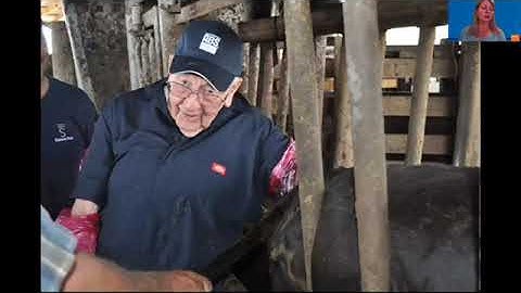 An Introduction to Beef Cattle Reproductive Management and the ACW Reproductive Management School