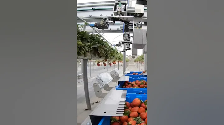 How robots harvest millions of acres of Framland every day #farmtech #farm #harvester #agri #shorts