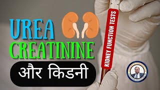 Blood Urea test in detail / Uremia Symptoms / ckd / Blood Urea test Normal Range