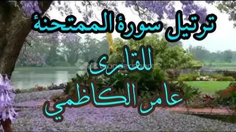 سورة الممتحنه / القارئ الشيخ عامر الكاظمي