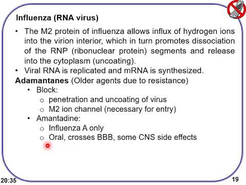 Video: HSV-2 Glicoproteina GD țintește Domeniul CC Al țetinei și Promovează Degradarea țetinei Pe Calea Lizozomală