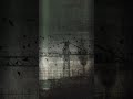 Industrial Zone Video Wallpaper