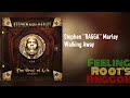 Walking Away Stephen Marley mp3