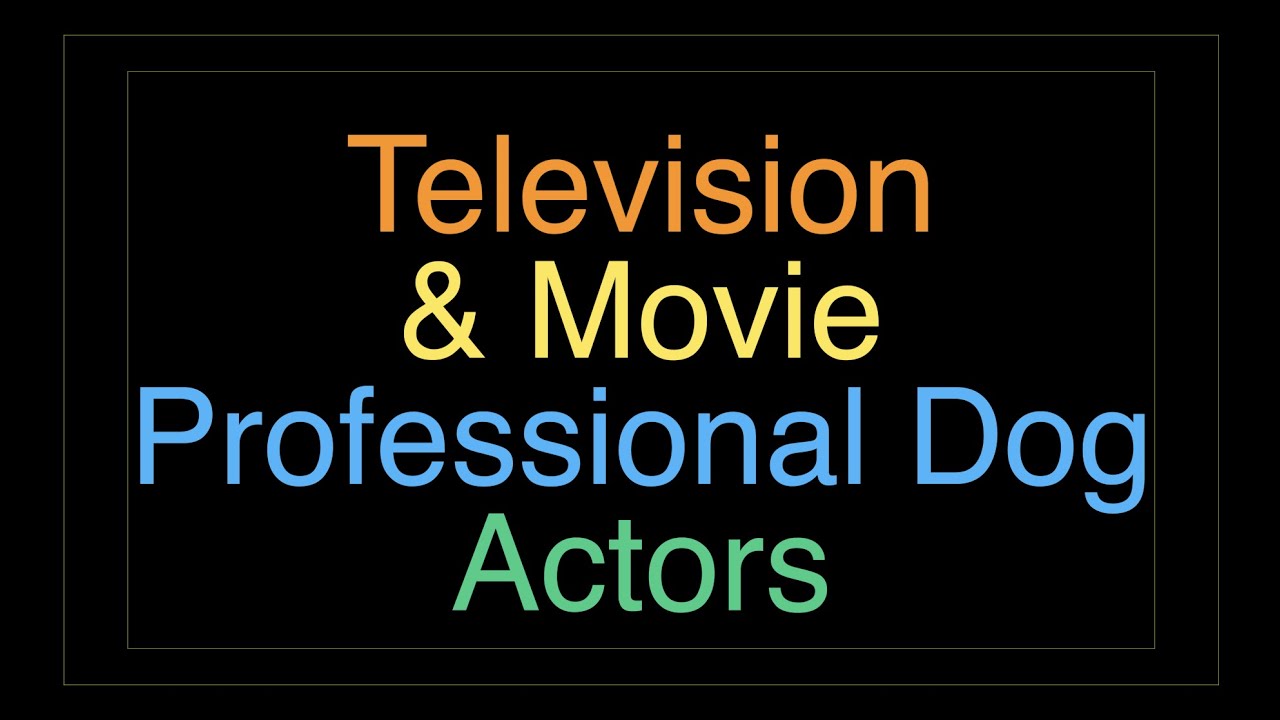 Television & Movie Professional Dog Actors