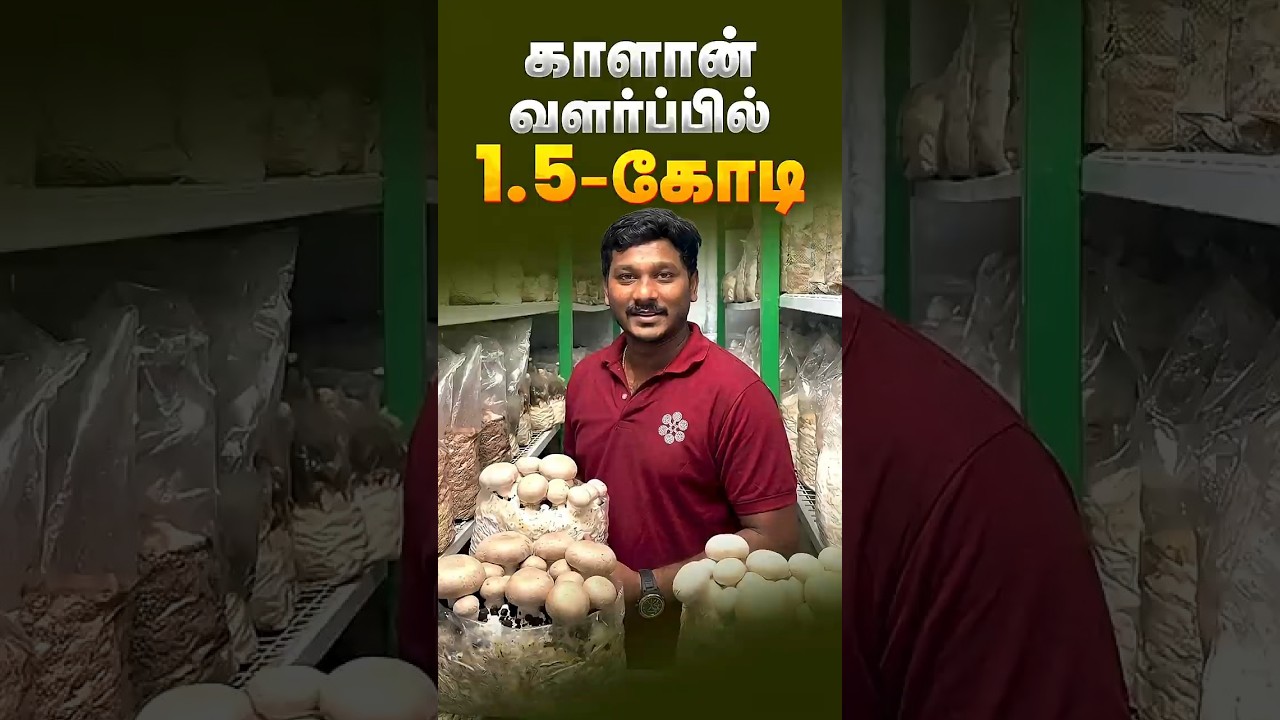 Latest Title & Thumbnail