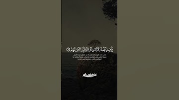 سورة الزلزلة كاملة بصوت خاشع | مصطفي نصار