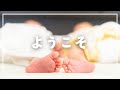 双子が我が家にやって来た！！女医の日常新たなスタート