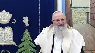 בין שלח לקרח- לזכר הרב מרדכי אליהו זצוק"ל | הרב שמואל אליהו | הלכה יומית כ' סיוון תשע"ט