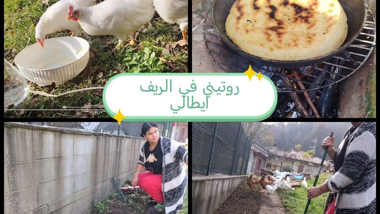 روتيني عمل في العروبيه ديال ايطاليا 🇮🇹اليوم الخدمه والنشاط في الجريده🏡 نهار كامل معايا في الطبيعه😊