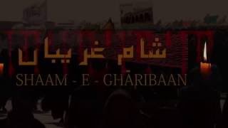 Shaam -E- Gharibaan Juloos 1438 Faisal Noha 1
