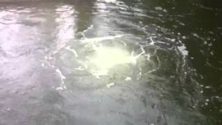 Surface Boil From a Bottom Diffuser Aeration System | Lake Doctors