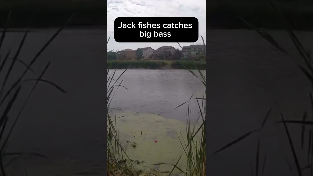 Jack catches big bass #fishing #bassfishing #bigfish
