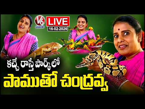 LIVE : Teenmaar Chandravva Explores Kacche Raaste Ecological Park | V6 News - V6NEWSTELUGU