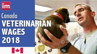 Veterinarian Salary in Canada (2018) - Employment in Canada