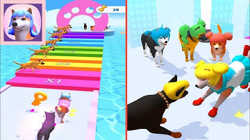 Groomer Run 3D Walkthrough Gameplay All Levels Android,iOS | New Mobile Games Update Max Level |