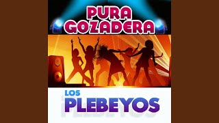 Video thumbnail of "Los Plebeyos - El Pipiripau"