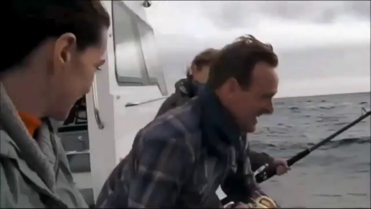 Megalodon attack Caught on Camera - Cape Town