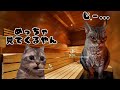 旅行先での出来事 #猫ミーム #猫meme #catmemes