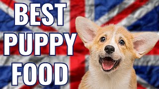 BEST PUPPY FOODS UK  Best Kibble Brands 2024