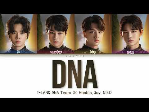 [I-LAND BTS TEST] DNA - Niki, Jay, K, Hanbin (니키, 제이, 케이, 한빈) Lyrics Color Coded (Han|Rom|Eng)
